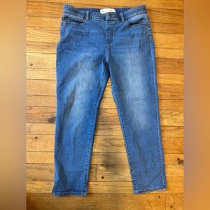 Soft Surroundings Classic Pullon Blue Jeans